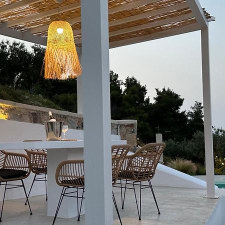 Villa Koukounaria スコペロス エクステリア 写真
