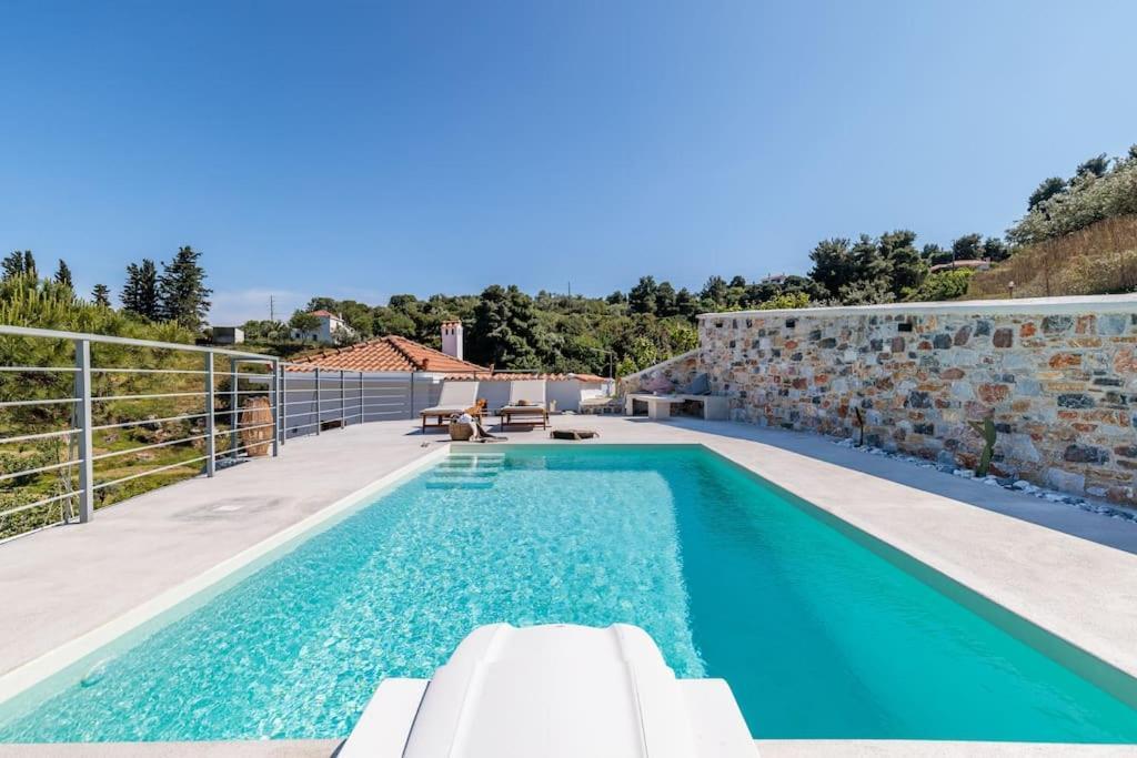 Villa Koukounaria スコペロス エクステリア 写真
