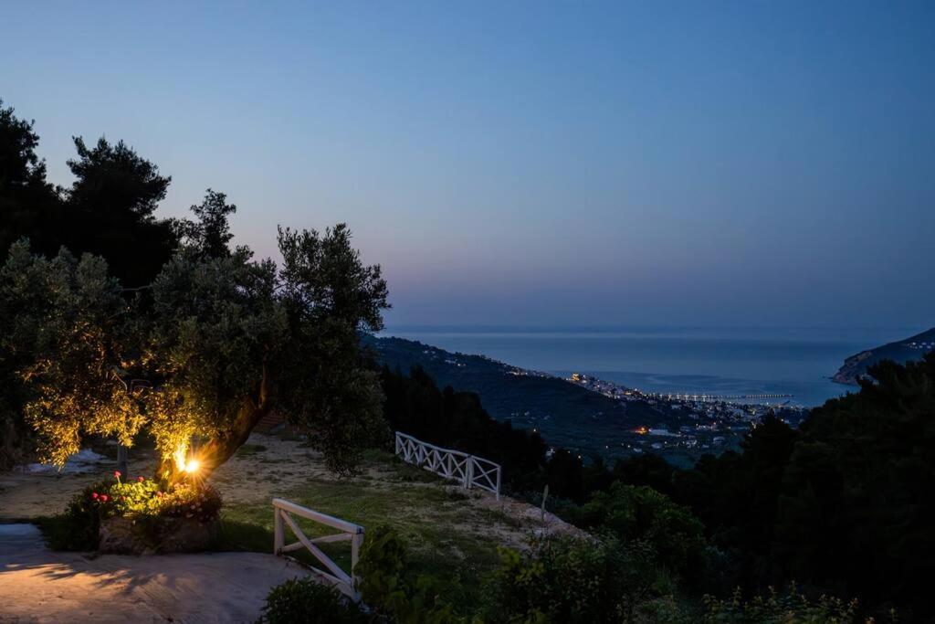Villa Koukounaria スコペロス エクステリア 写真