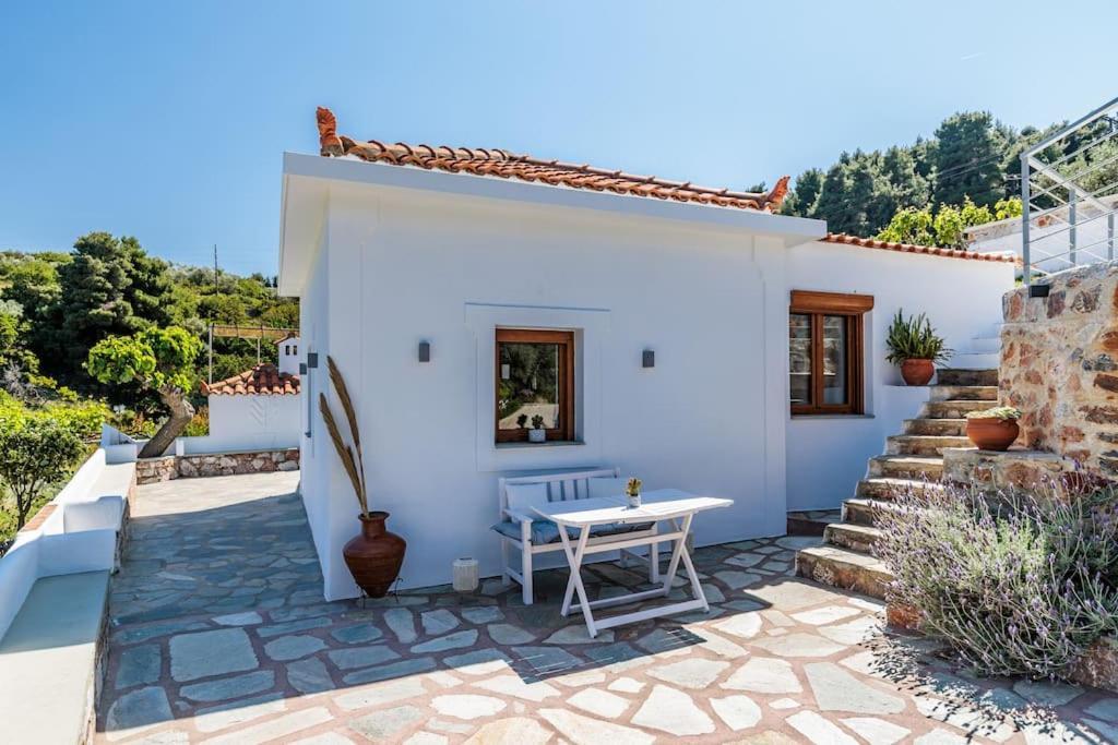 Villa Koukounaria スコペロス エクステリア 写真