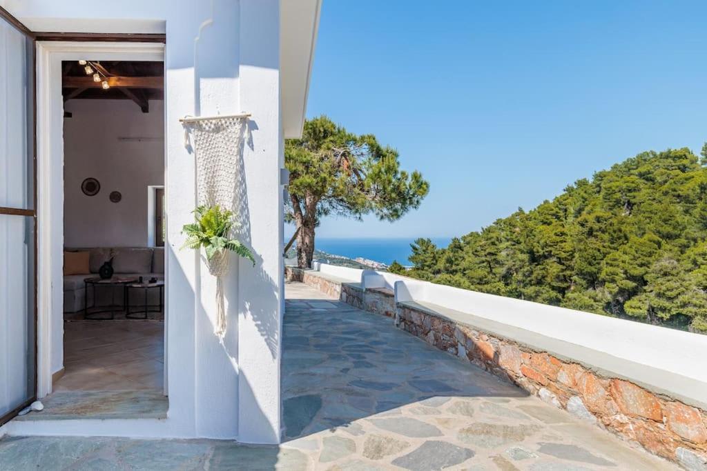 Villa Koukounaria スコペロス エクステリア 写真