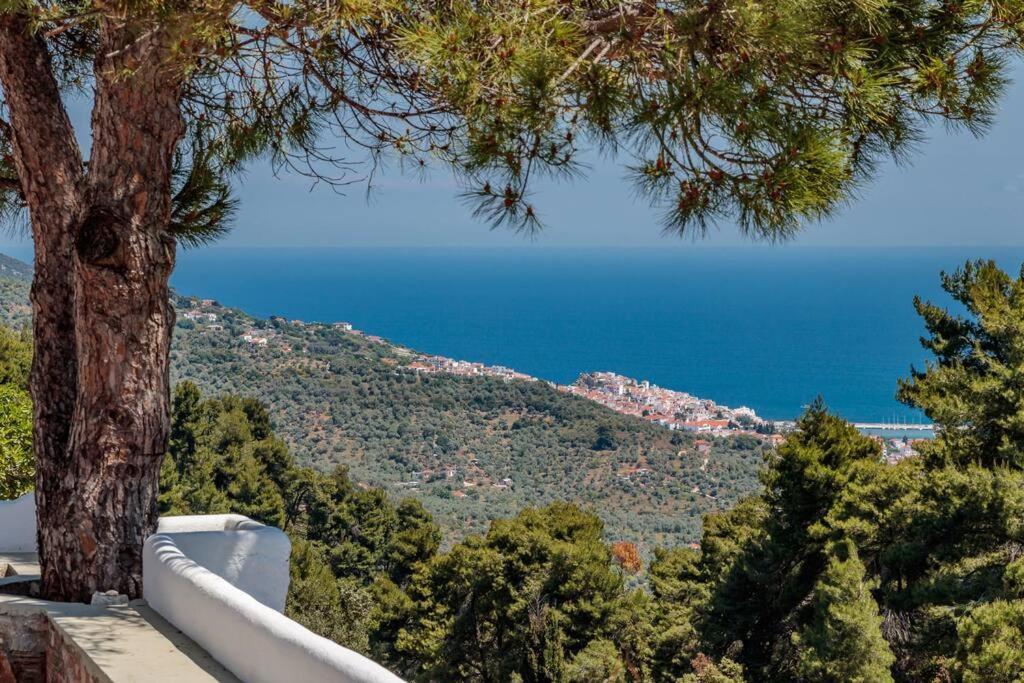 Villa Koukounaria スコペロス エクステリア 写真