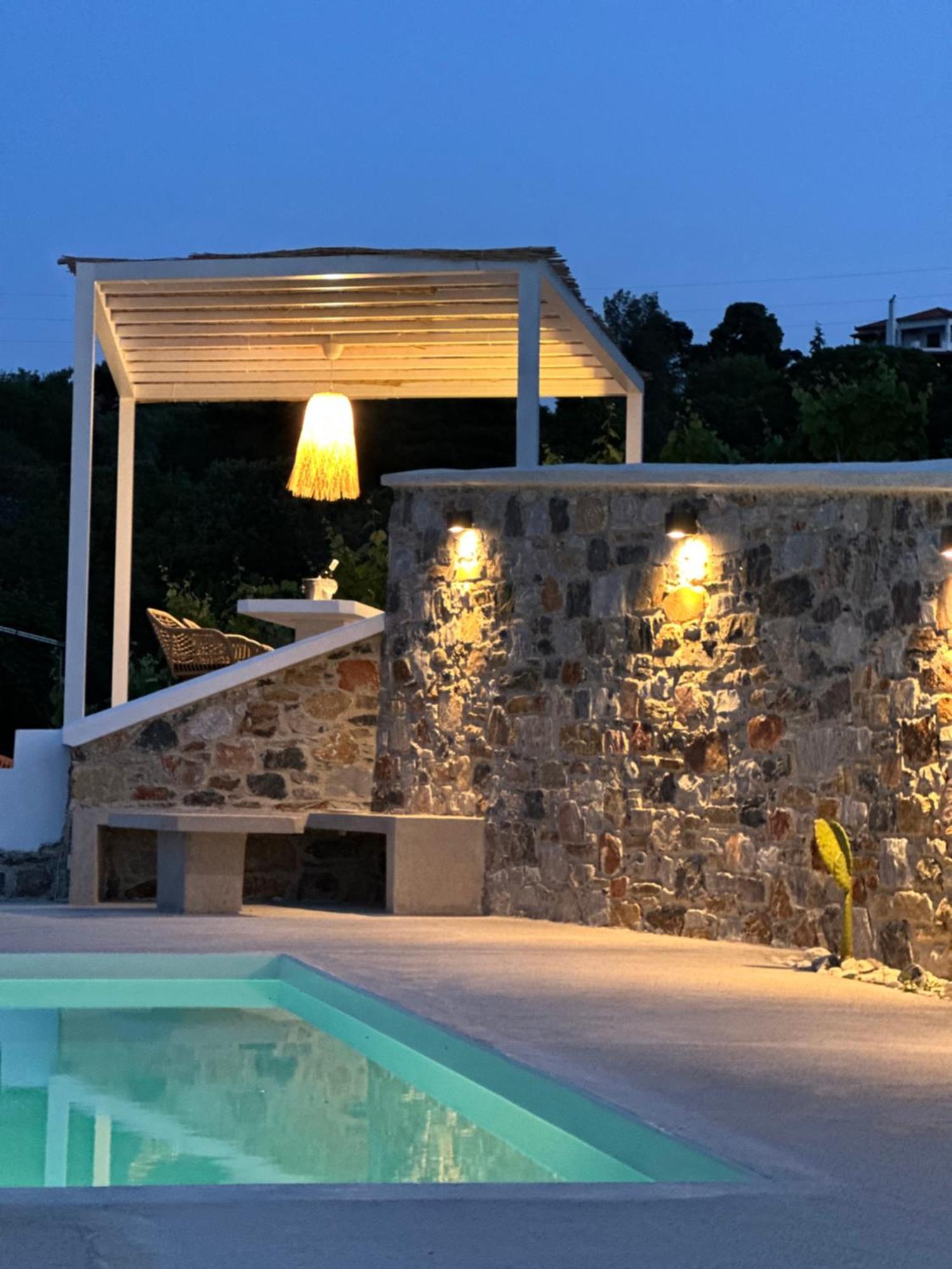 Villa Koukounaria スコペロス エクステリア 写真