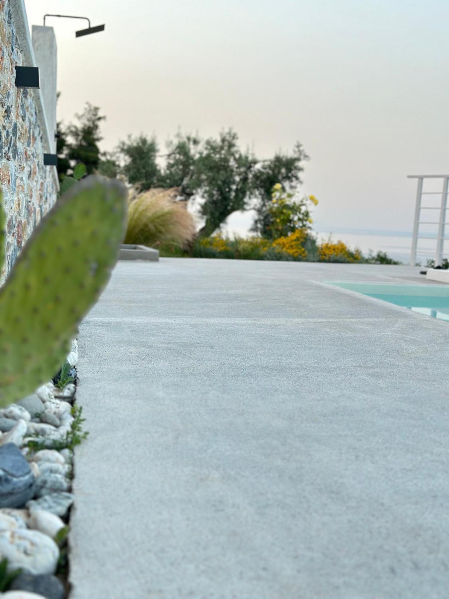 Villa Koukounaria スコペロス エクステリア 写真